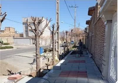 عملیات پیاه روسازی وموزاییک فرش بین دانش۲۳ و ۲۵